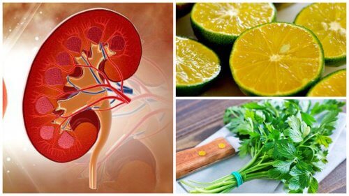 Lemon and Parsley Syrup that May Help With Kidney Stones