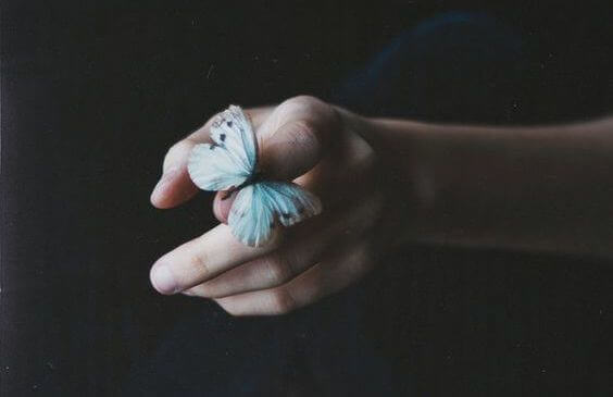A person with a butterfly on their finger.