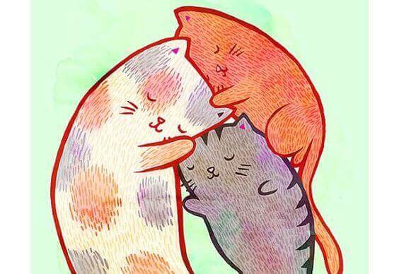 cat-family