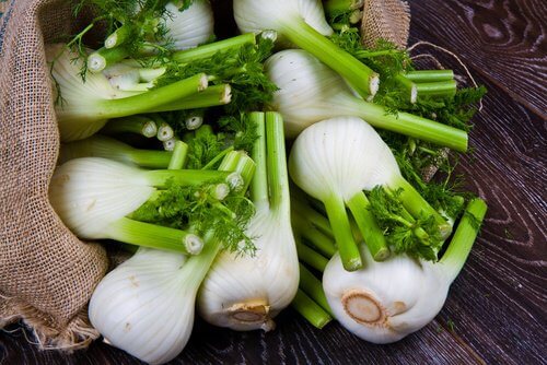 Fennel