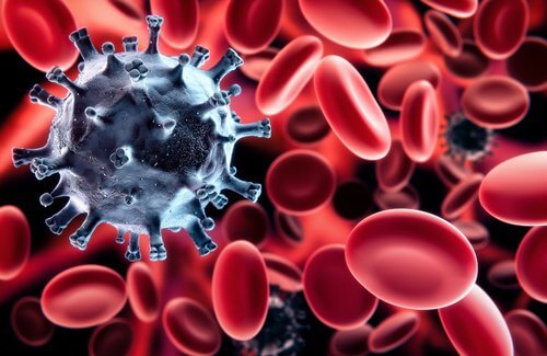 Red and white blood cells.