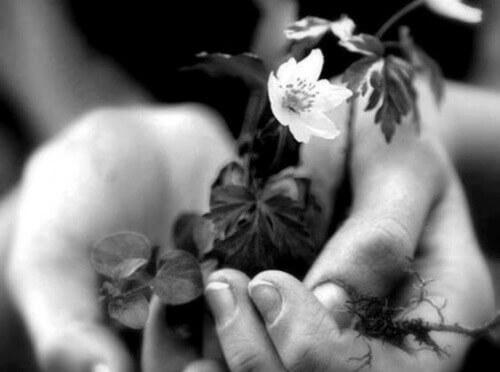 handful of flowers for practicing kindness