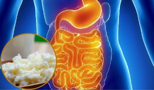 How to Restore Your Intestinal Flora Naturally