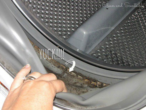 Dirty washing machine.
