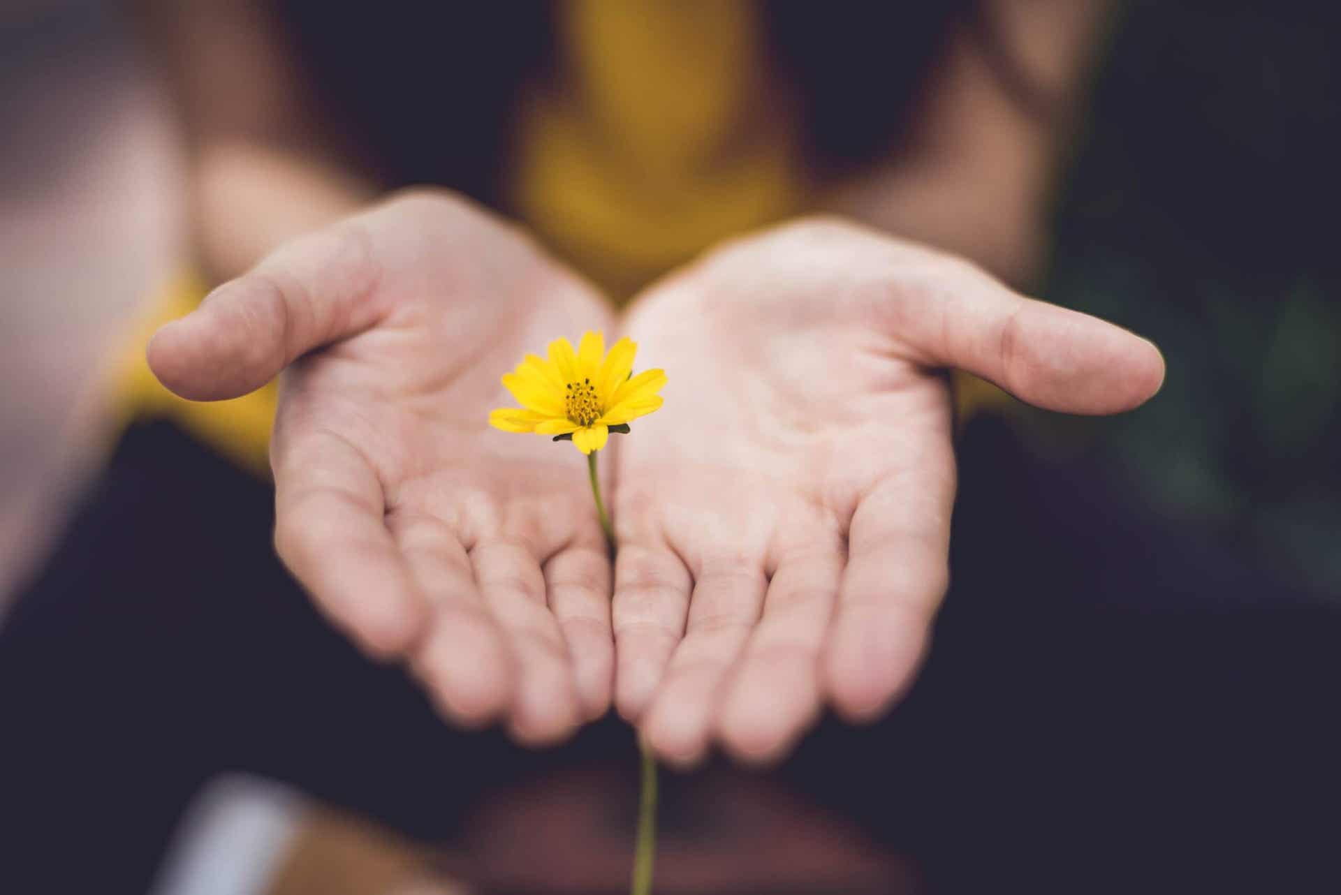 A woman holding a yellow flower.