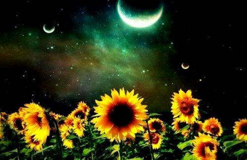 5 Ways to Fight Emotional Emptiness