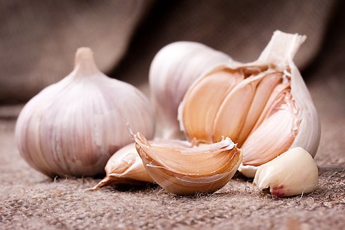 Garlic.