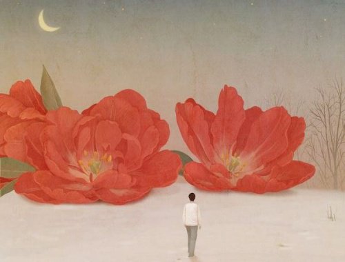 A woman looking at large red flowers.