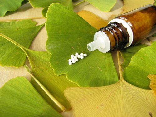 5-ginkgo-biloba