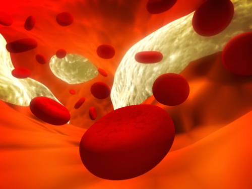 9 Foods that Clean Your Arteries