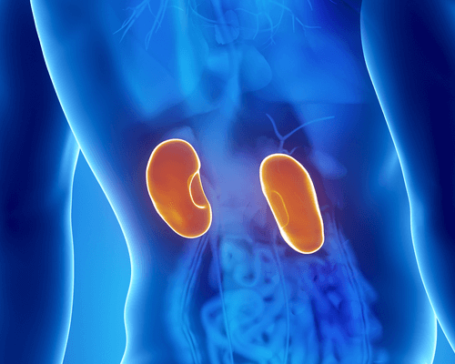 kidney problems, one of the consequences of dehydration