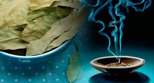 Fight Anxiety with This Age-Old Remedy with Bay Leaves