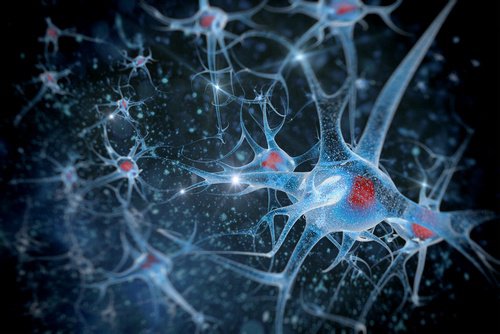 Close up of brain neurons
