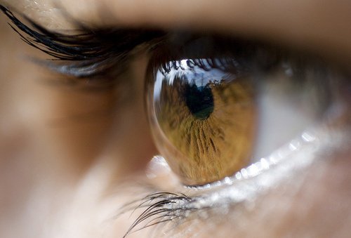 8 Effective Remedies that Treat Styes
