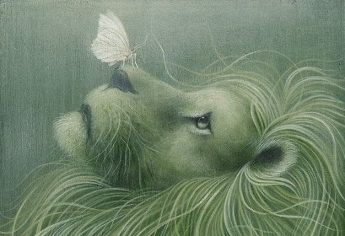 Green illustration lion with butterfly on nose give up