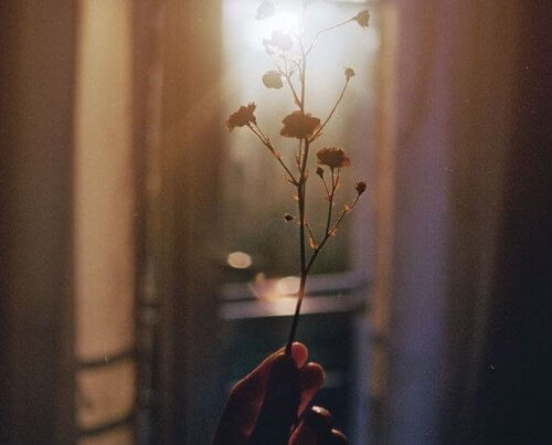 stick-against-light-500x403