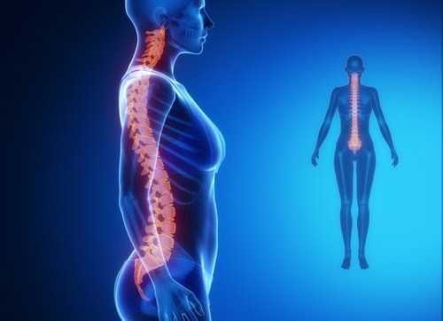 Find Out How to Stretch Your Spine in Just 2 Minutes