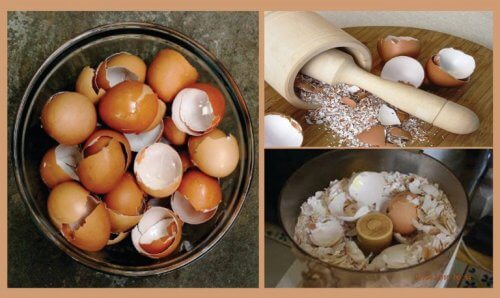 Using Eggshells to Make 6 Amazing Natural Remedies