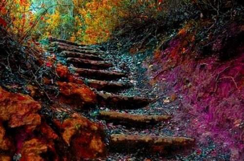 The Ladder of Life: How to Self-Improve Daily in 5 Steps