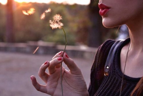 The Laws of Life: 3 Basic Principles