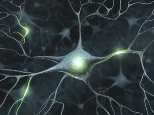 memory loss neurons