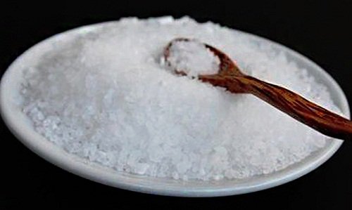 A plate of magnesium salt.
