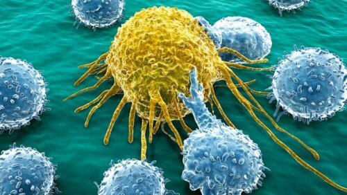 A New Molecule to Fight Ovarian and Pancreatic Cancer