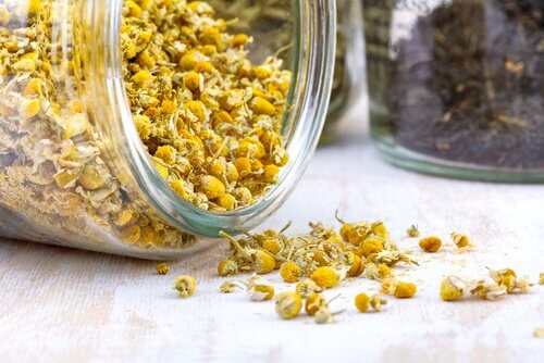Dry chamomile flowers