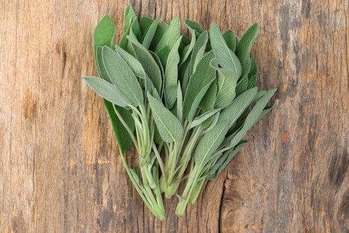 Sage leaves that can help to color your hair naturally