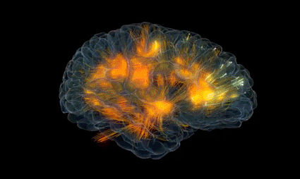 A lit up brain.
