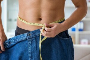 Here Are The Best Food Proportions for Weight Loss