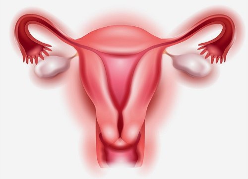 What Should You Know Before Deciding to Remove Your Ovaries?
