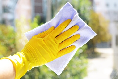 cleaning with gloves