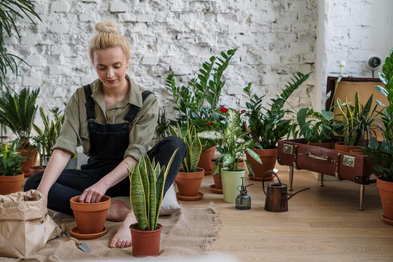 A woman potting house plants.
