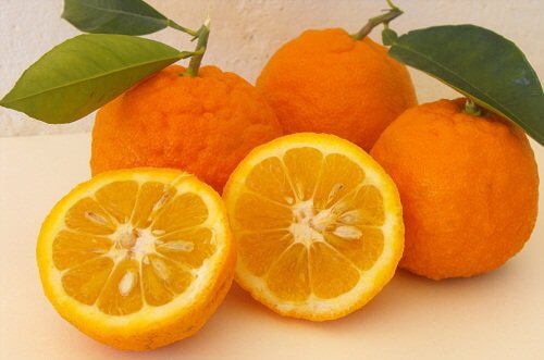 5 Foods to Help You Avoid Love Handles