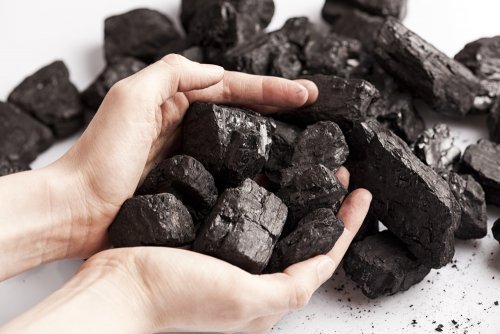 7-fascinating-ways-use-charcoal-in-home-500x334
