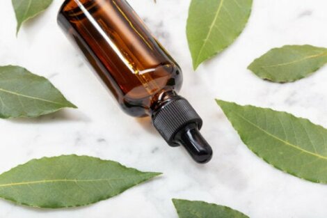 The Incredible Benefits of Bay Leaf Oil