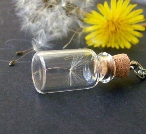 bottle-with-desires-that-made-us-strong-2