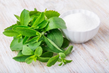 Leaves of a stevia plant.