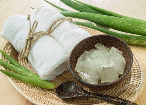 Freezing aloe vera cubes of aloe gel next to washcloths