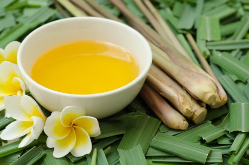 Citronella Oil: A Mosquito, Lice, and Flea Repellent