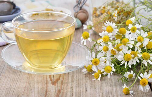 Cup of chamomile tea and flowers on table fight digestive problems
