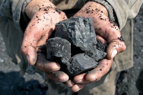 7 Fascinating Ways to Use Charcoal in Your Home
