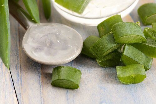 Slices of aloe vera next to gel
