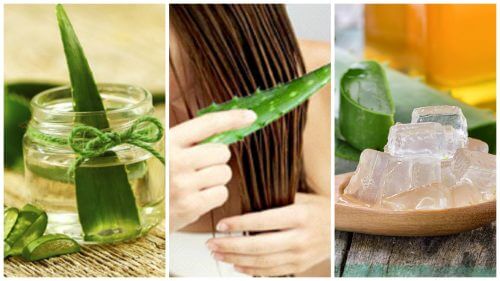 Five Aloe Vera Hair-Strengthening Treatments