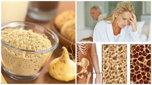 7 Benefits of Maca Root for Women