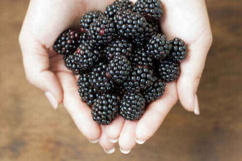 Seven Health Benefits of Eating Blackberries