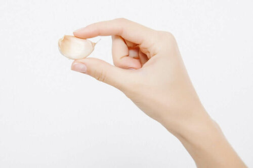 A person holding a garlic clove.