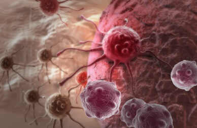 cells