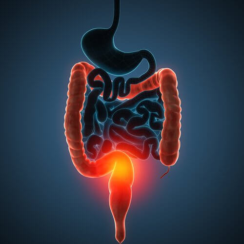 4 Juices that Detox your Colon 4 Juices that Detox your Colon